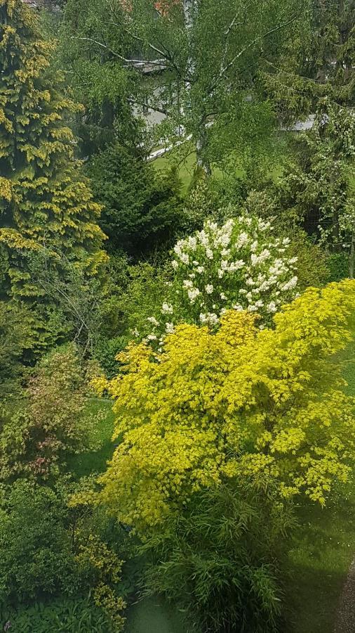Brockenferien Daire Bad Harzburg Dış mekan fotoğraf